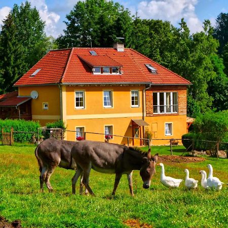Chalupa Jenin Dolní Dvořiště Exterior foto
