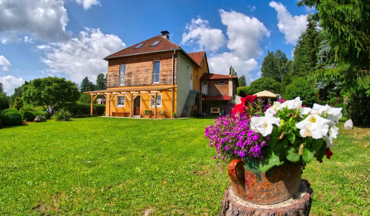 Chalupa Jenin Dolní Dvořiště Exterior foto