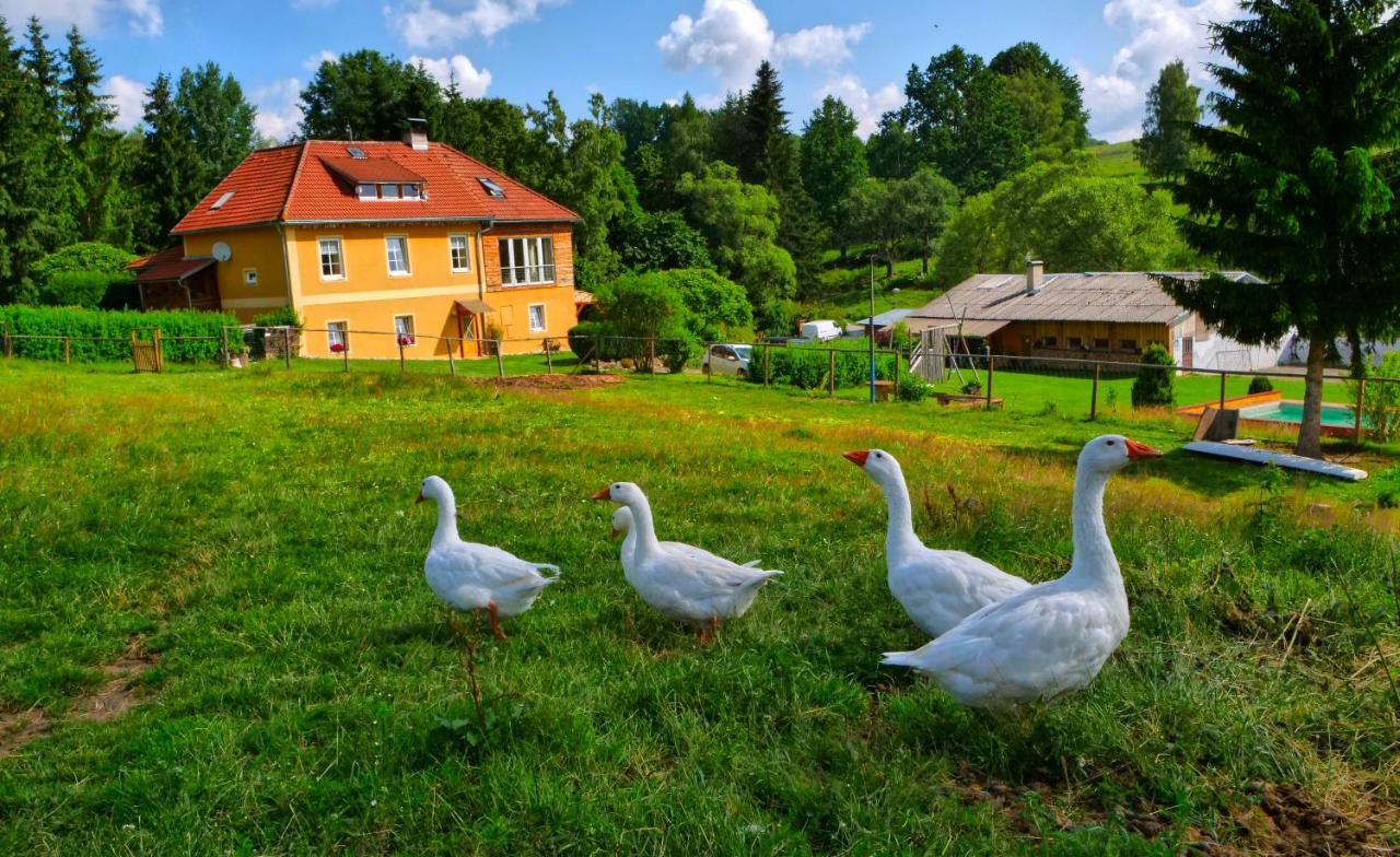 Chalupa Jenin Dolní Dvořiště Exterior foto